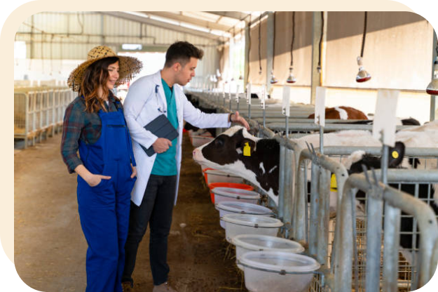 ravi garg, trakop, dairy management, dairy delivery