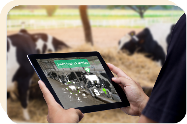 ravi garg, trakop, online, dairy, farm, milk, dairy delivery
