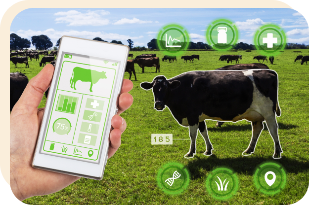 ravi garg, trakop, milk management, online, dairy, farm, milk